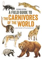 Field Guide to Carnivores of the World, 2nd edition (Hunter Luke)(Paperback / softback)
