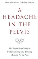 Headache in the Pelvis - The Definitive Guide to Understanding and Treating Chronic Pelvic Pain (Wise David PhD)(Paperback)