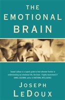 Emotional Brain - The Mysterious Underpinnings of Emotional Life (LeDoux Joseph E.)(Paperback)