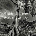 Ancient Trees - Portraits of Time (Moon Beth)(Pevná vazba)