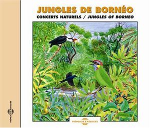 Jungles of Borneo (The Sounds of Nature) (CD)