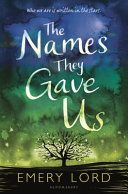 Names They Gave Us (Lord Emery)(Paperback)