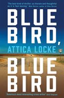 Bluebird, Bluebird (Locke Attica)(Paperback)