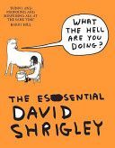 What the Hell are You Doing? - The Essential David Shrigley (Shrigley David)(Paperback)