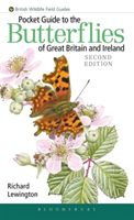Pocket Guide to the Butterflies of Great Britain and Ireland (Lewington Richard)(Paperback / softback)