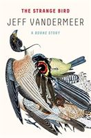 STRANGE BIRD (VANDERMEER JEFF)(Paperback)