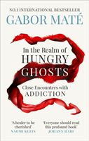 In the Realm of Hungry Ghosts - Close Encounters with Addiction (Mate Dr Gabor)(Paperback / softback)