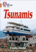 Tsunamis - Band 12/Copper (Dodd Emily)(Paperback)