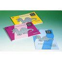 Write from the start - Unique Programme to Develop the Fine Motor and Perceptual Skills Necessary for Effective Handwriting (Teodorescu Ion)(Paperback)