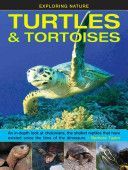 Exploring Nature: Turtles & Tortoises - An in-Depth Look at Chelonians, the Shelled Reptiles That Have Existed Since the Time of Dinosaurs (Taylor Barbara)(Pevná vazba)