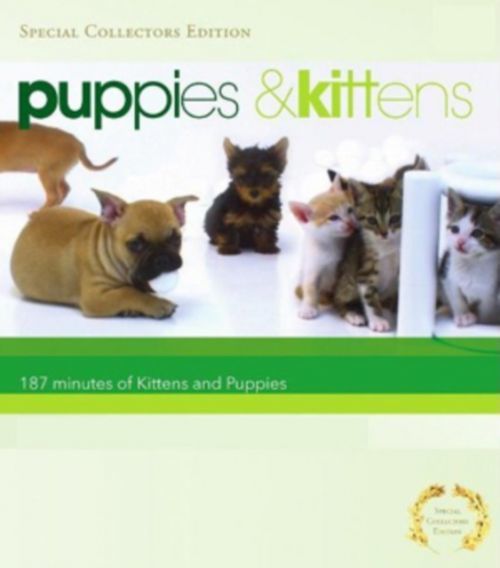 Puppies and Kittens (DVD)