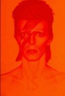 David Bowie is (Broackes Victoria)(Pevná vazba)