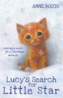 Lucy's Search for Little Star (Booth Anne)(Paperback / softback)
