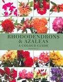 Rhododendrons and Azaleas - A Colour Guide (Cox Kenneth)(Pevná vazba)