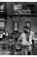 Flying Home and Other Stories (Callahan John)(Paperback)