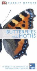 Butterflies and Moths (DK)(Paperback)