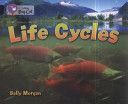 Life Cycles (Morgan Sally)(Paperback)