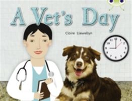 BC NF Green B/1B A Vet's Day (Llewellyn Claire)(Paperback / softback)