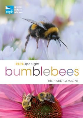RSPB Spotlight Bumblebees (Comont Richard)(Paperback / softback)