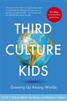 Third Culture Kids - The Experience of Growing Up Among Worlds (Pollock David C.)(Paperback)