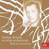 Orchestr Dalibora Brázdy – Valčík na rozloučenou MP3
