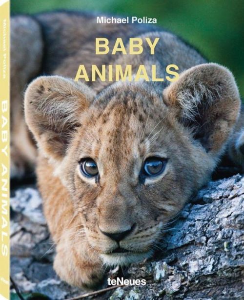 Baby Animals(Pevná vazba)