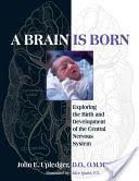 Brain Is Born - Exploring the Birth and Development of the Central Nervous System (Upledger John E.)(Paperback / softback)