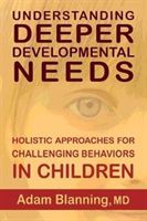 Understanding Deeper Developmental Needs - Holistic Approaches for Challenging Behaviors in Children (Blanning Adam MD)(Paperback)