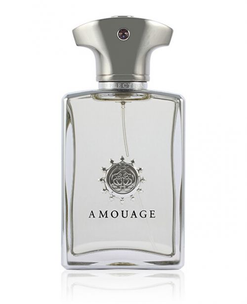 Amouage Reflection Man - EDP 100 ml