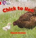 Chick to Hen (Graham Elspeth)(Paperback)