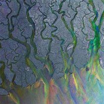 An Awesome Wave (Alt-J) (CD / Album)
