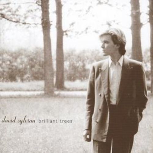 Brilliant Trees (David Sylvian) (CD / Album)