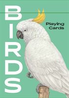 Birds (Ryuto Miyake)(Cards)