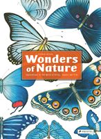 Wonders of Nature - Explorations in the World of Birds, Insects and Fish (Guiraud Florence)(Pevná vazba)