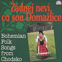 Jaromír Horák, Dudácká kapela – Žádnej neví, co sou Domažlice, Bohemian Folk Songs From Chodsko MP3