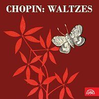 Fryderyk Chopin, František Rauch – Chopin: Valčíky MP3