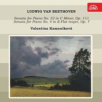 Valentina Kameníková – Beethoven: Sonáty pro klavír MP3