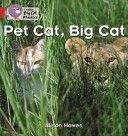 Pet Cat, Big Cat - Band 02a/Red A (Hawes Alison)(Paperback)