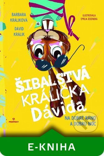 Šibalstvá králička Dávida - Barbara Králiková, Dávid Králik