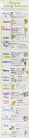 Natural Cleaning Solutions Chart (Cook Liz)(Wallchart)