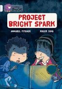 Project Bright Spark (Pitcher Annabel)(Paperback)