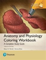 Anatomy and Physiology Coloring Workbook: A Complete Study Guide, Global Edition (Marieb Elaine N.)(Paperback)