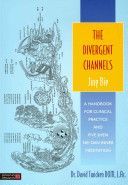 Divergent Channels - Jing Bie (Twicken David)(Paperback)