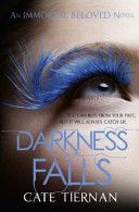 Darkness Falls (Tiernan Cate)(Paperback)