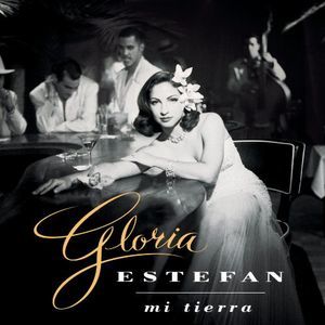 Mi Tierra (Gloria Estefan) (Vinyl / 12