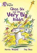Very Big Cat Class 6 (Waddell Martin)(Paperback)