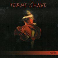 Terne Čhave – Kaj džas CD
