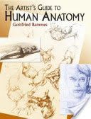 Artist's Guide to Human Anatomy (Bammes Gottfried)(Paperback)