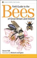 Field Guide to the Bees of Great Britain and Ireland (Falk Steven (Author))(Paperback / softback)