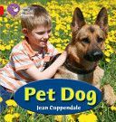 Pet Dog (Coppendale Jean)(Paperback)
